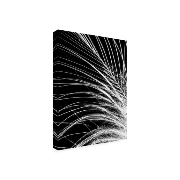 Incado 'White Feather' Canvas Art,14x19